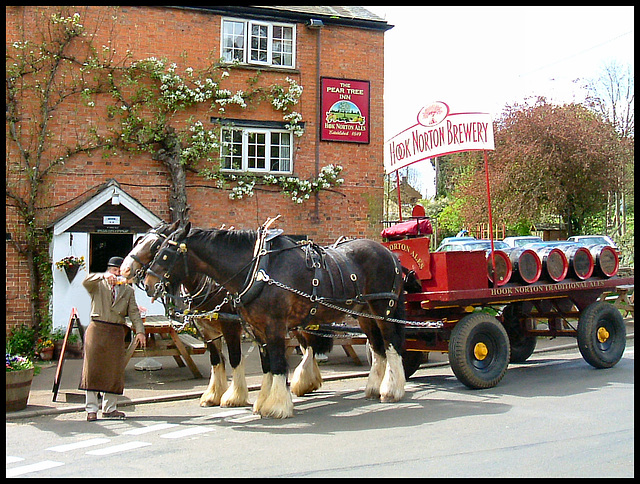 Shire Horse & cart delivering Beer