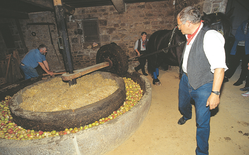 Cider being made the traditional way