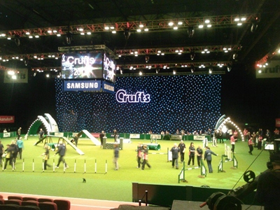 Crufts Agility