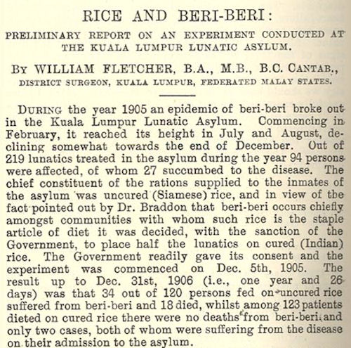 1907 report on Berberi