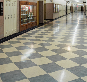 Linoleum Linoleum