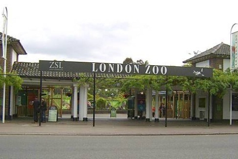 London zoo entrance
