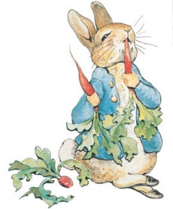 Peter Rabbit