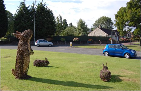 Rabbit Roundabout