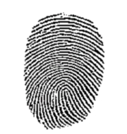 fingerprint